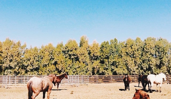 Rancho De Los Caballeros - Wickenburg, AZ