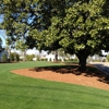 Augusta Landscape & Mulch Distrutors gallery