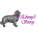 Ebony's Story - Essential Oils