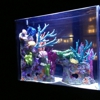 Aquarius Aquariums gallery