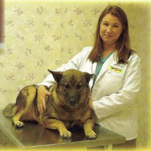 Cape Veterinary Practice - Cape Coral, FL