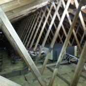 Gallery Image Number 7