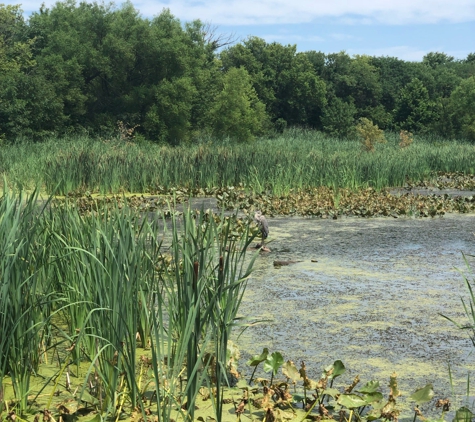 John Heinz National Wildlife Refuge - Philadelphia, PA