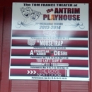 Antrim Playhouse - Theatres