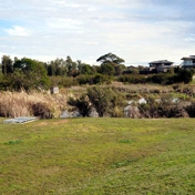 Gallery Image Number 7