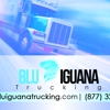 Blu Iguana Trucking gallery