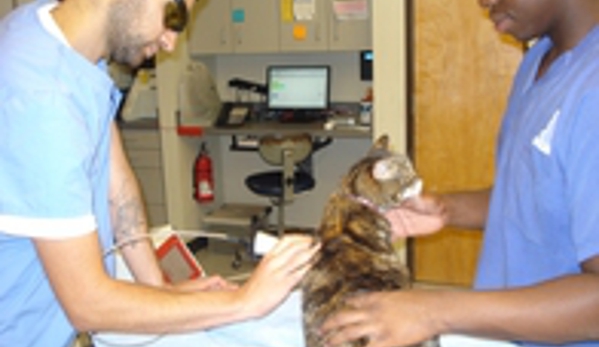 Broadway Veterinary Clinic - Portland, OR