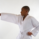 Innovations in Creative Arts & Martial Arts - Art Instruction & Schools