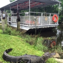 Jean Lafitte Swamp Tours - Boat Tours