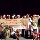 New Hope Animal Hospital, A Thrive Pet Healthcare Partner