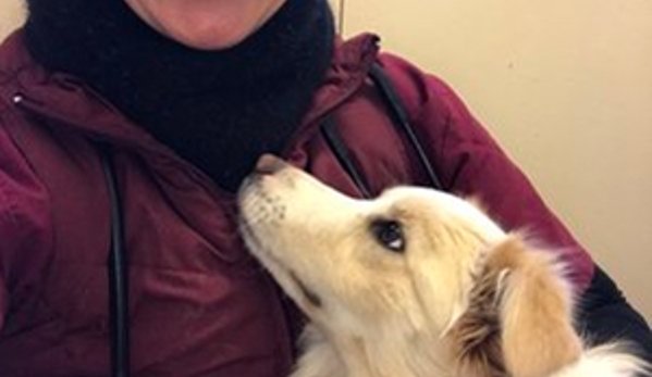Marius Small Animal Veterinary Clinic - Tamworth, NSW