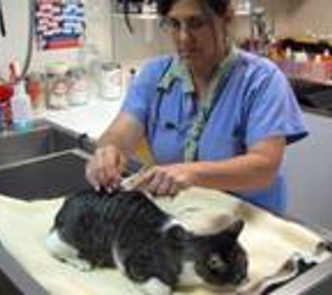 Folsom Veterinary Hospital - Folsom, CA