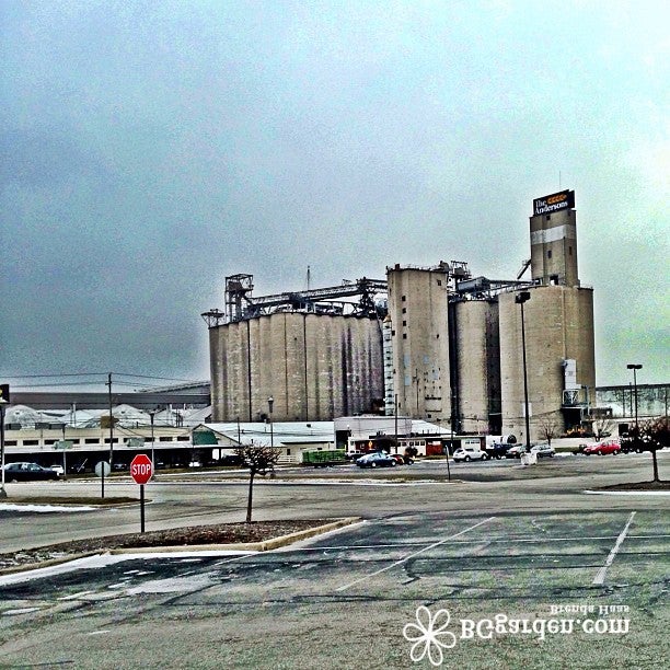 Andersons inc maumee oh 43537
