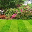Stanley's Simply Green Lawn Maintenance & Landscaping - Fountains Garden, Display, Etc