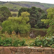 Gallery Image Number 8