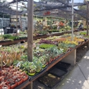 Lincoln Avenue Nursery - Nurseries-Plants & Trees