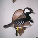 LC's Taxidermy