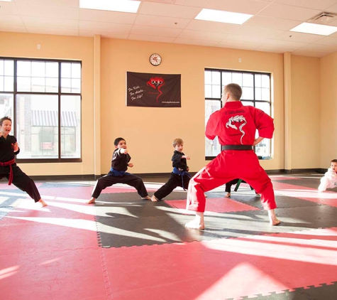 Dojo Karate - Waconia - Waconia, MN