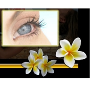 Gallery Image Number 1