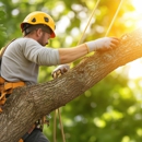 Yoos Tree Service - Tree Service