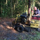 Stumphead Stump Grinding - Tree Service