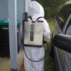 Beachside Termite and Pest Control gallery