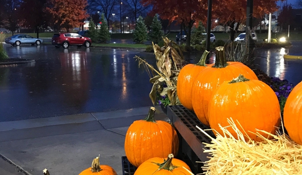 Lunds & Byerlys - Maple Grove, MN