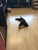 Paw Envy Pet Care - Pet Stores