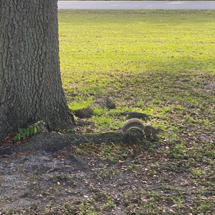 Miami Springs Golf & Country Club - Miami Springs, FL