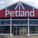 Petland of Largo - Dog & Cat Grooming & Supplies