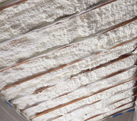 Arbor Insulation Solutions - Roswell, GA