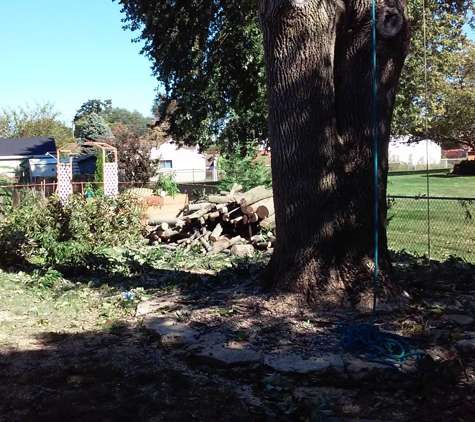 Alan's Tree Removal - West Point, KY