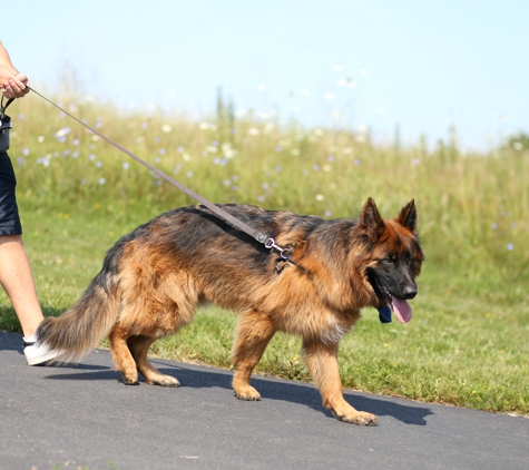 A Closer Bond Dog Training & Learning Center - Wood Street - Palatine, IL