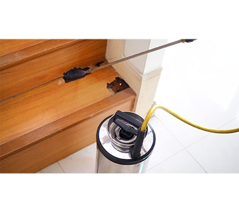 Albury Wodonga Pest Control - Albury, NSW
