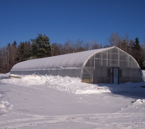 Ellis' Greenhouse & Nursery - Hudson, ME. Start of growing season