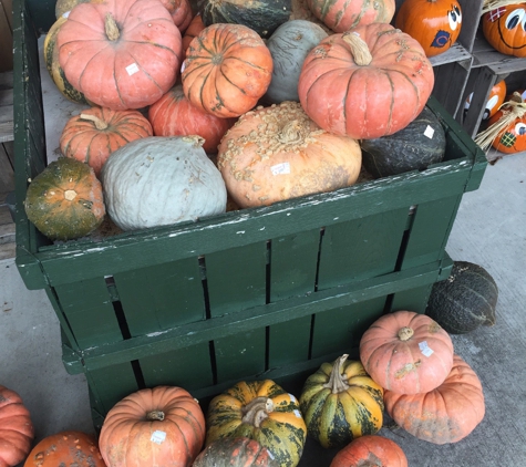 Wood Orchard Market - Egg Harbor, WI