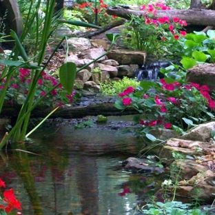 Carter's Nursery Pond & Patio - Jackson, TN