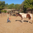 Discover Essential Horsemanship