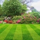 Lush-lawn Solutions