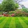Lush-lawn Solutions