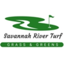 Savannah River Turf - Artificial Grass