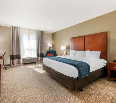 Comfort Inn & Suites Tavares North - Tavares, FL