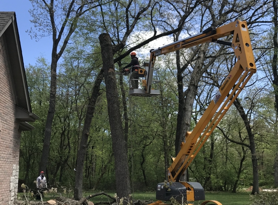 Campos Tree Service - Round Lake, IL