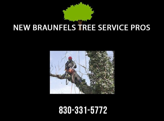 New Braunfels Tree Service Pros - New Braunfels, TX