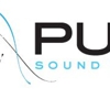 Pure Sound & Vision gallery
