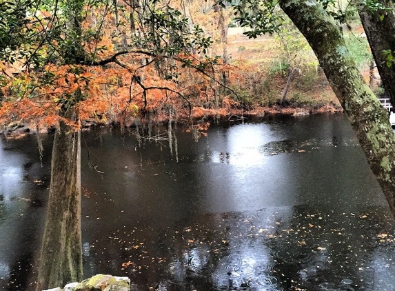 O'Leno State Park & River Rise - High Springs, FL