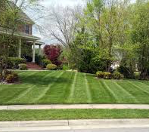 Alpha Turf Management - New Albany, IN