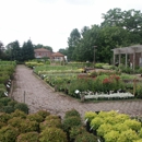 Chapman's Nursery & Garden Center - Garden Centers