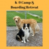 K-9 Camp & Boarding Retreat gallery