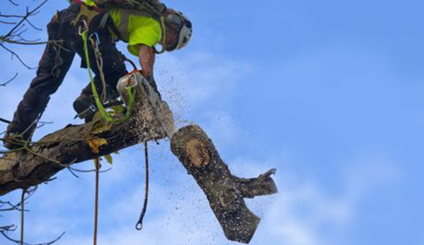 Appalachian Tree Service - Kennesaw, GA